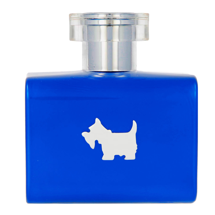 FERRIONI TERRIER BLUE 100ML